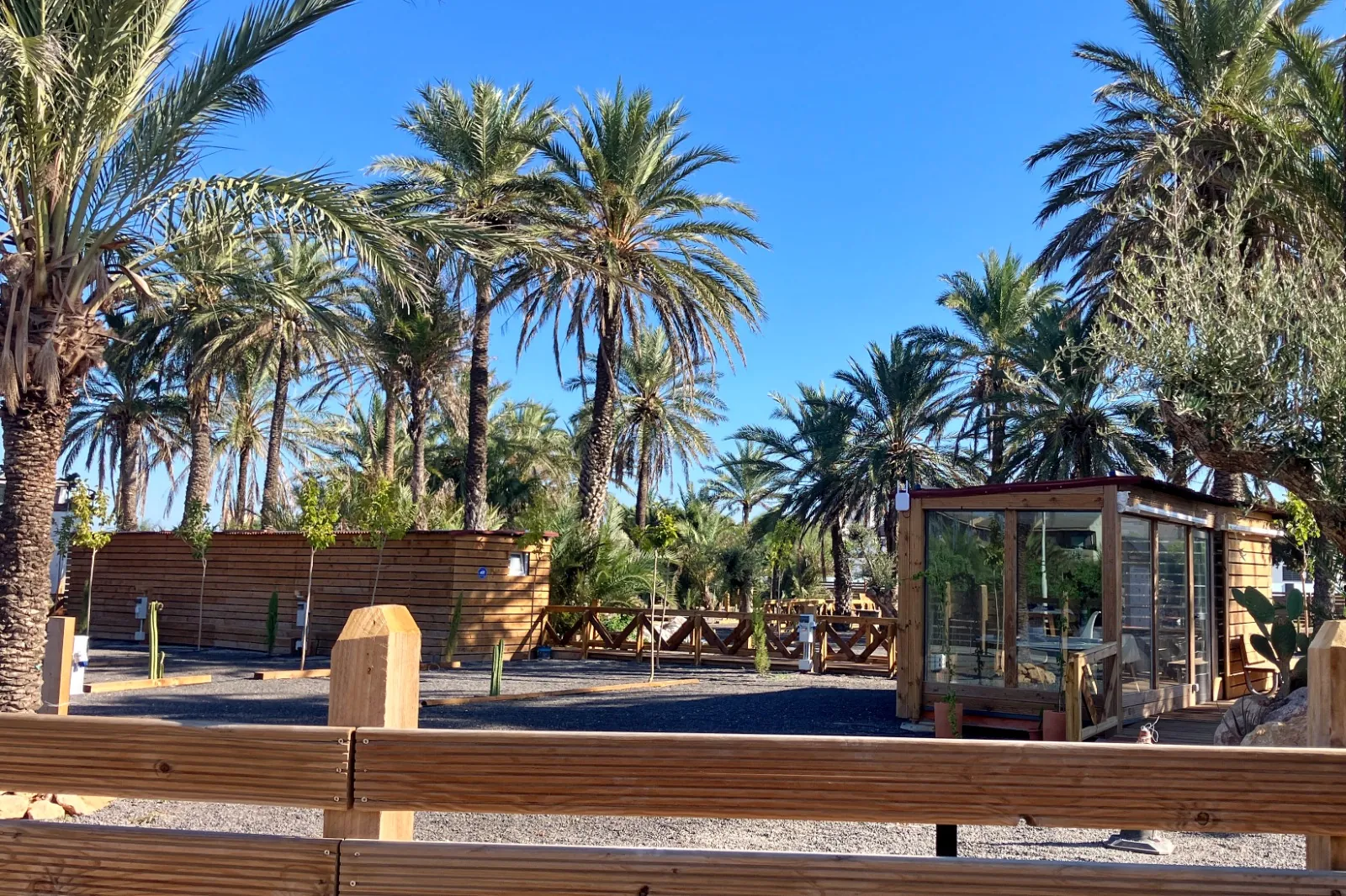 Palmeral del camping con casetas de madera y cactus